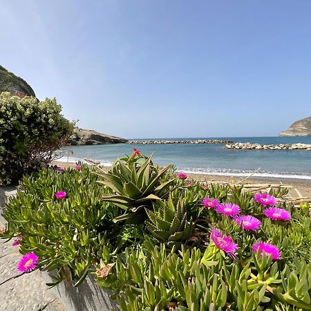 Casa Francesco Seaside Lejlighed Sant'Angelo  Eksteriør billede