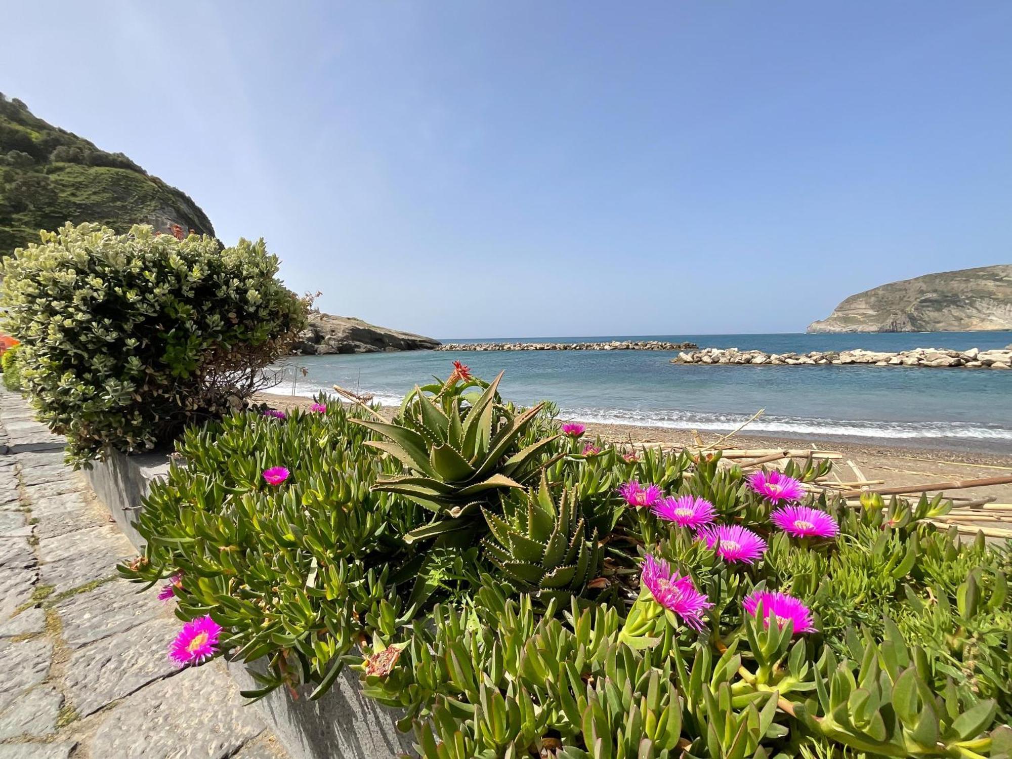 Casa Francesco Seaside Lejlighed Sant'Angelo  Eksteriør billede